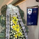 새웅상요양병원장례식장 | 경남 양산 새웅상요양병원 장례식장 근조화환 정성껏 배송 야간상담도 가능