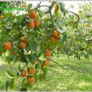 폭포산장 이미지