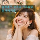 정진 행정사 사무소 이미지