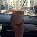 유로애견샵 이미지