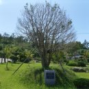 하의보건지소 이미지