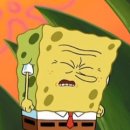 펫츠하우스 이미지