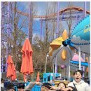 라이온 태권도장 이미지