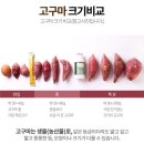 이홍규농장 네이버블로그
