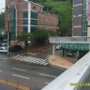 다송약국 이미지