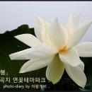 연향농장 이미지