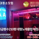 킹노래클럽 이미지