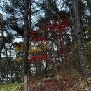 조산공원길 이미지