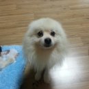 우성피부미용