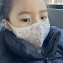 무료영화 상영 <극장판 바다 탐험대 옥토넛: 탐험선 대작전> | 바다 탐험대 옥토넛 어보브 앤 비욘드 : 육지생물 구조작전 내돈내산 솔직후기 - 35개월 아기도 좋아함❤️