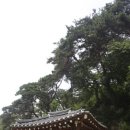 태산 선비문화 사료관 이미지