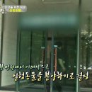 인간을 위한 희생 - 실험동물 이미지