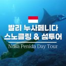 복있는 섬 | 발리 누사페니다 서부 섬투어 스노클링 사누르항구 당일치기 코스 추천 만타가오리