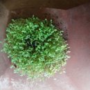 인천중앙한의원 이미지