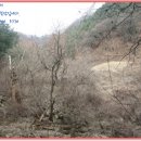 춘천시동면상걸보건진료소 네이버블로그