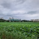 안산화랑오토캠핑장 이미지