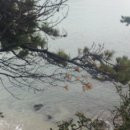 몰운대농장 이미지