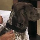 홍익약국 이미지