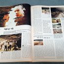 씨네21 카카오 검색결과