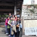 일본 대마도 부산 2박3일 가족여행 가을여행 추천 이미지
