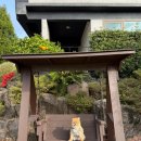 돈내코힐 리조트 | 제주 돈내코힐 리조트 | 애견동반 가족여행 숙소 추천 (내돈내산)