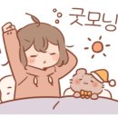 플로리안플라워