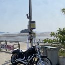 09년 마지막 나이트트레인 판매합니다 이미지