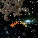 기쁨주는약국 이미지