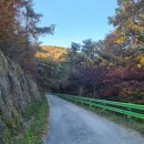 다님펜션 | (23년 속리산 단풍절정시기)보은 단풍 명소 속리산 꼬부랑길 및 말리재 전망대 리뷰