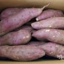 오남매농장 이미지