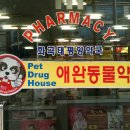 화곡서울약국 이미지