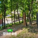 장아산근린공원 | 장아산 공원 가볍게 산책하기 좋은 무장애 나눔길