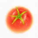 도그도마 이미지