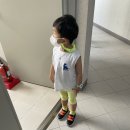 10-309 TS | 부천 나눔농장(단점도 있음), 양천공원, 목동 버블스토리, 동네산 나들이