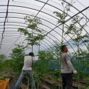 호암농장2 이미지