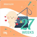 미니스톱 포항구룡포점 | 27주) 태교여행 / 배가 점점 커짐 / 코피 쏟아짐 / 허리통증 / 배뭉침 / 구토와 소화불량 / 임신후기 진입