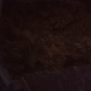 마이산 흑염소 농장 이미지