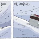 에스키모 Daum카페