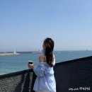 셜터(SHLTR) | 속초 대형 오션뷰 핫플 카페 셜터 SHLTR 내돈내산 추천후기