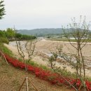 명당1리경로당 이미지