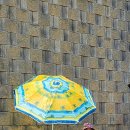 호암지낚시터 이미지