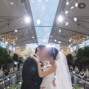 (유)형석 로얄호텔 | w14. 선명한 색감 본식스냅 업체 추천 / 밝은홀, 어두운홀, 로얄파크컨벤션