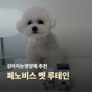 (주)바로벳 | 눈물자국 고민이라면? 페노비스 강아지눈영양제 벳 루테인 사용 후기