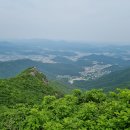 영 농장 이미지