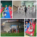 STN태권도장 이미지