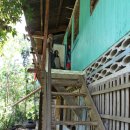 삼육초교 이미지