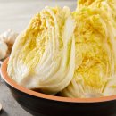 고려종합비료 | 괴산절임배추, 어떻게 선택해야 할까요?(지역적 특성, 재배과정, 절임과정)