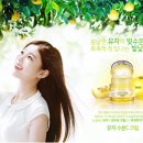 푸들리 이미지
