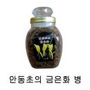 안동초등학교 이미지