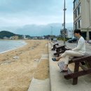 크로톤풀 빌라 | 고성 크로톤 풀빌라 솔직후기